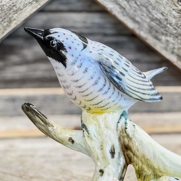 Royal Adderley Floral, Bone China Figurine of Myrtle Warbler & Ornate Flowers - Picture 3 of 10